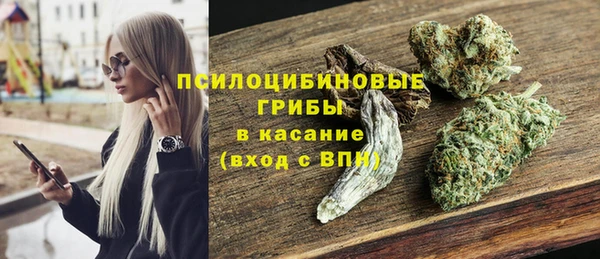 сатива Аша