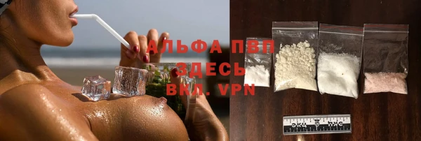 прущий лед Анива