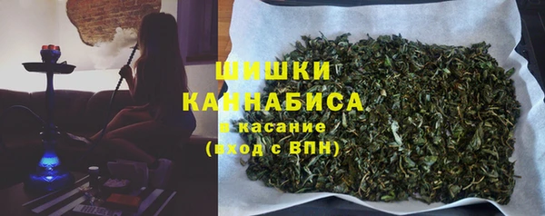 ПСИЛОЦИБИНОВЫЕ ГРИБЫ Медногорск